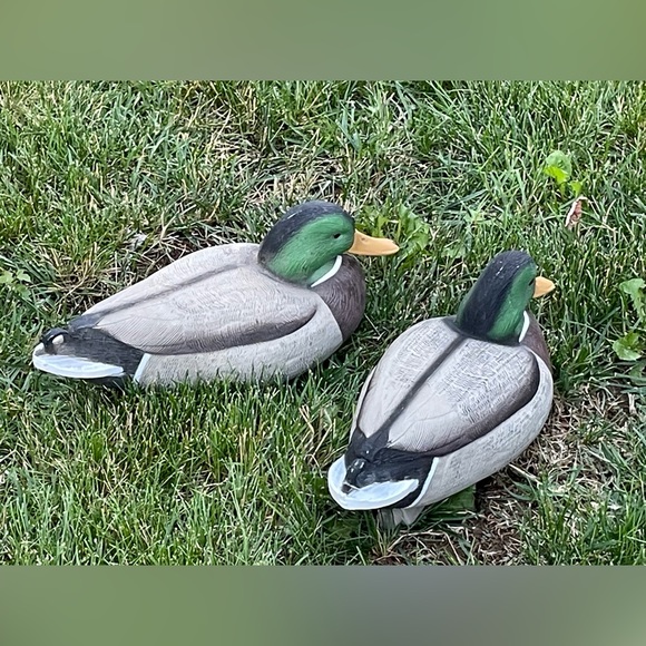 Greenhead Gear Hunting Plastic Floating Duck Mallard Decoys - Picture 3 of 13